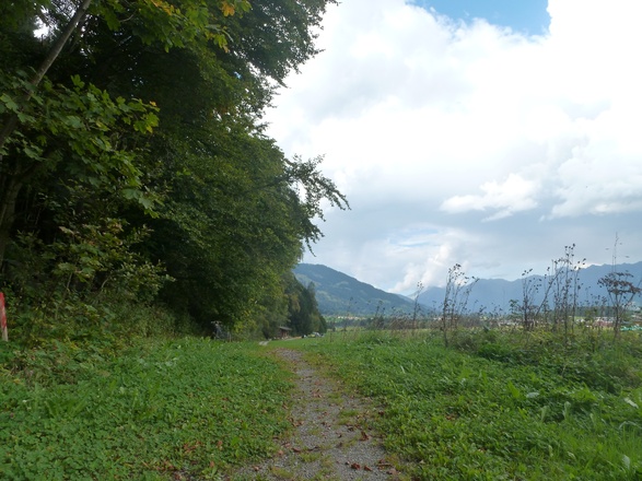 Am Waldrand entlang führt der Weg nach Bad Neunbrunnen.