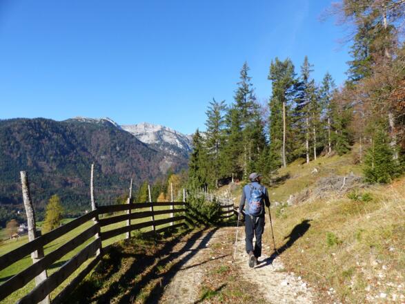 Oberhalb des Talbodens folgen wir der Forststraße zum tatsächlichen Aufstieg in Richtung Guffert.