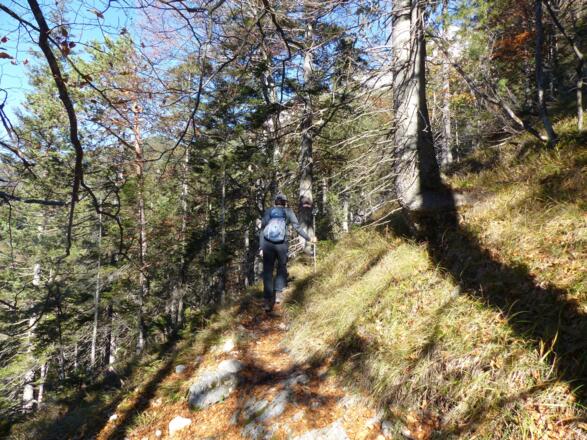 Ein genussvoller herbstlicher Anstieg.