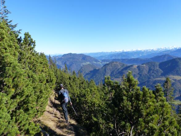 Bei der Luxeggalm führt der Steig nach Osten bis ...
