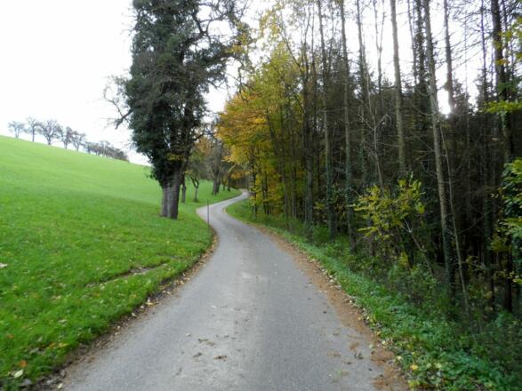 Rahoferweg