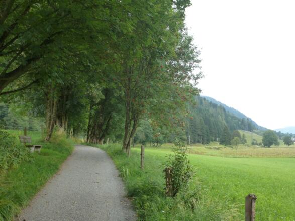 Zwischen Schloss Kammer und Steinberg