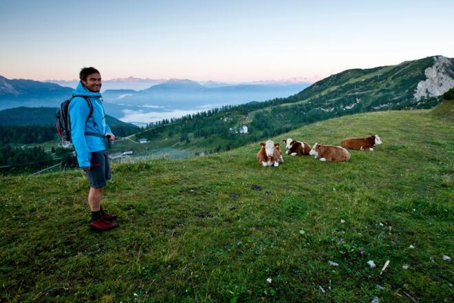 Wanderer am Dachstein