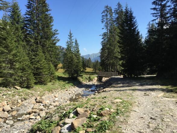 Brücke im Wäldele