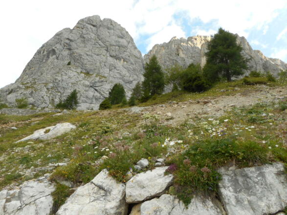 Salendo verso il rifugio P.F. Calvi