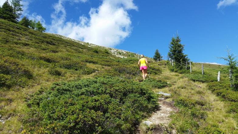 kurzer Ansteig nochmals