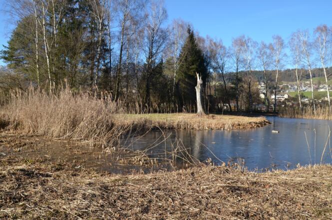 Naturschutzgebiet Birka