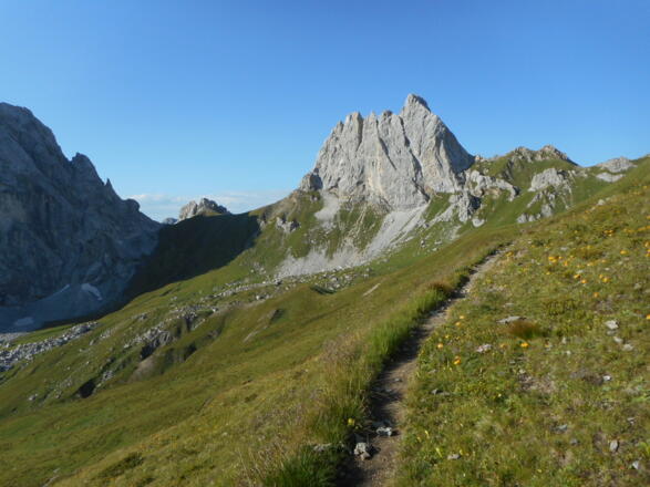 Vista verso il Monte Chiadenis e il Passo Sesis