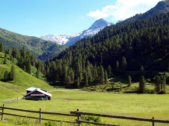 Innermelanalm ~1480m