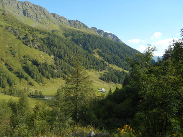 Scendendo verso la malga Ingrid Hütten