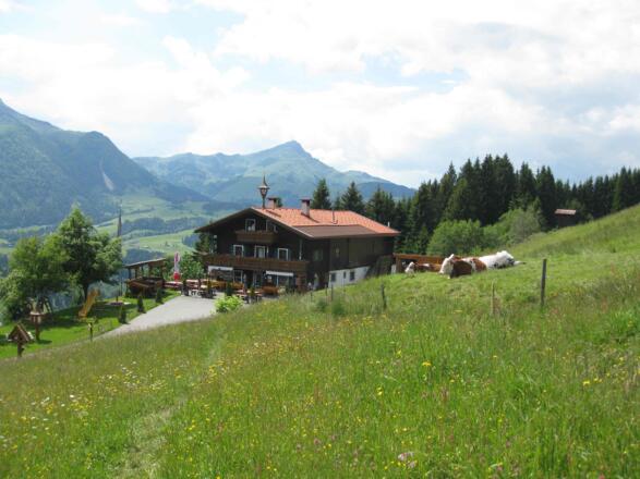 Tennalm Fieberbrunn