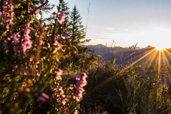 Sonnenaufgang Walmendingerhorn