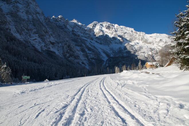 Kühschwalb im Winter