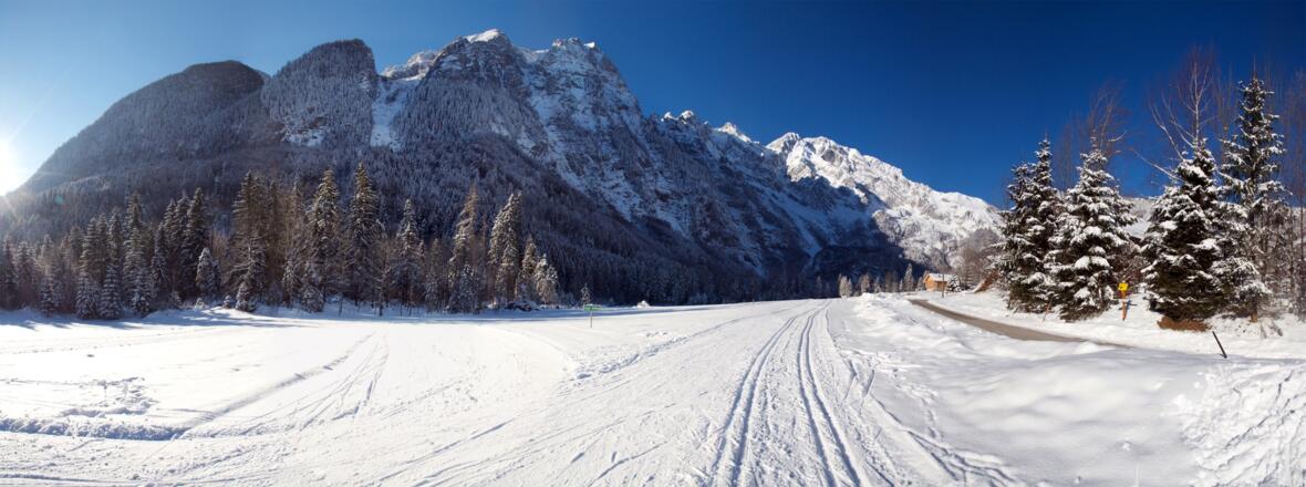 Kühschwalb Panorama