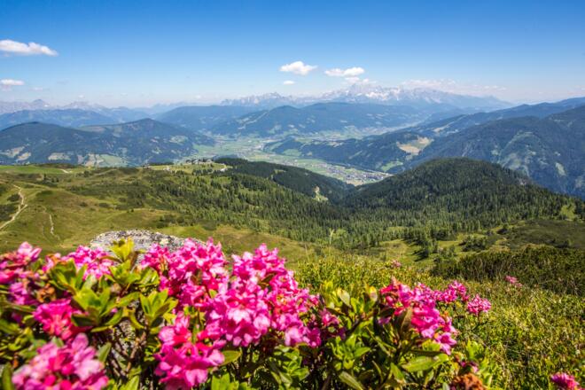 Blick Richtung Dachstein