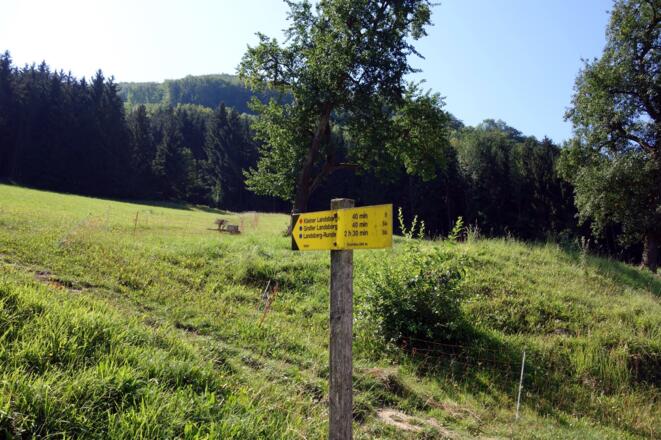 Startpunkt auf 595m