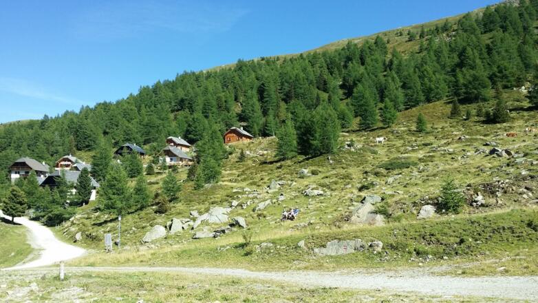 Letzte Meter zum Parkplatz