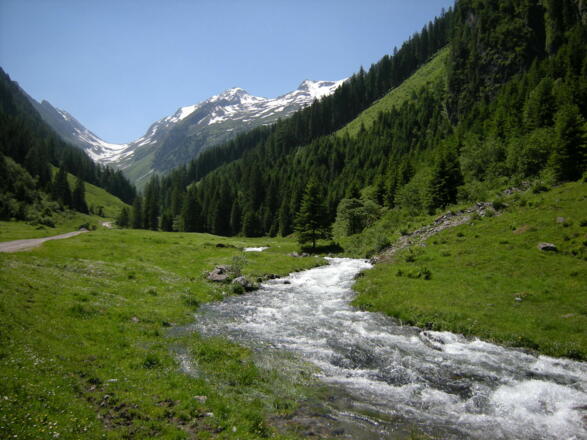 Wimmertal