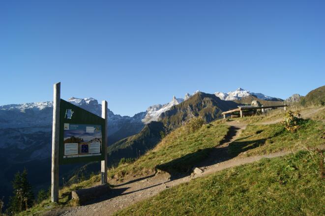 Gedenkstein oberhalb der Bergstation Grüneck