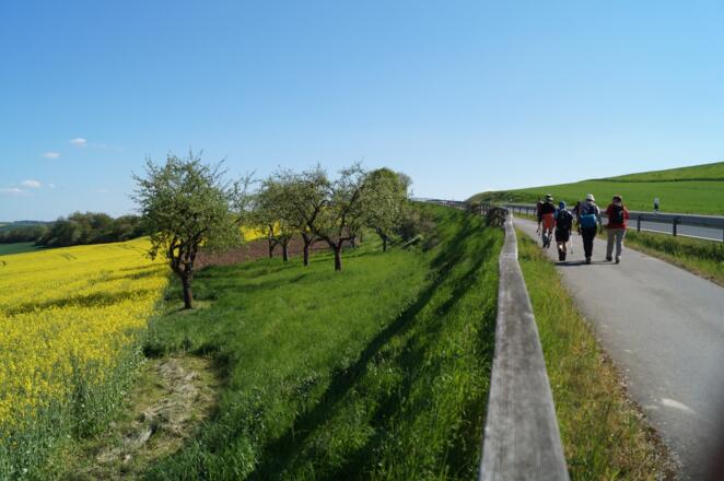 Fuß-Radweg Richtung Mellrichstadt