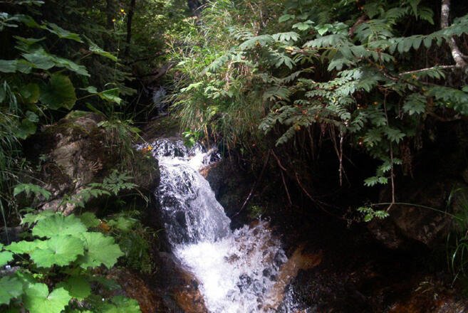 Krummbachtalwanderung