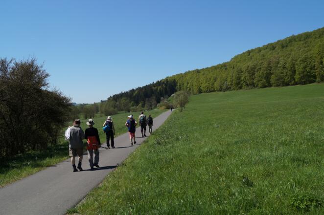 Auf dem Sülzetal-Radweg Richtung Sülzfeld
