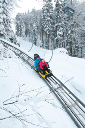 Auch im Winter in voller Fahrt den Berg hinab mit dem Alpine Coaster