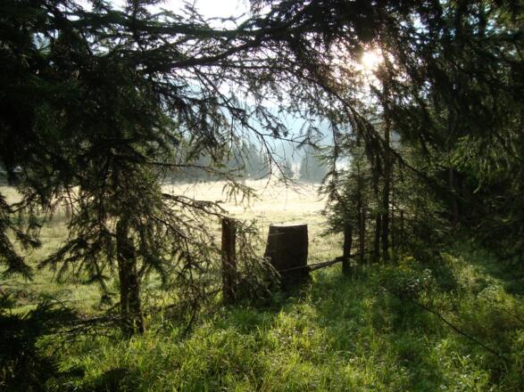 Morgenstimmung amPrebersee