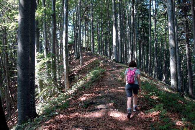 Schöner Gratrücken zum Großen Landsberg um 850m