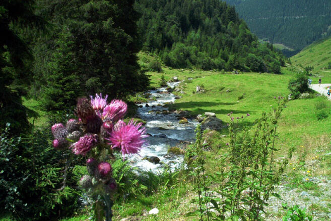 Wimmertal
