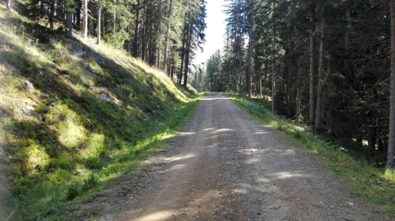 Forststraße folgend