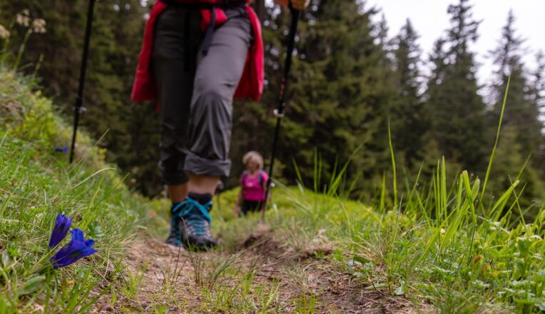 viele kleine Kostbarkeiten säumen den Weg