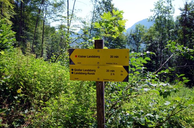 Sattel, Wegteilung 775 m