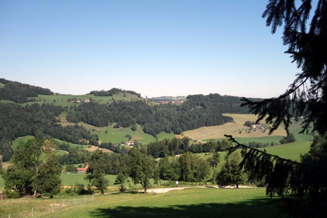Vom Waldrand Blick nach Westen (~525 m)
