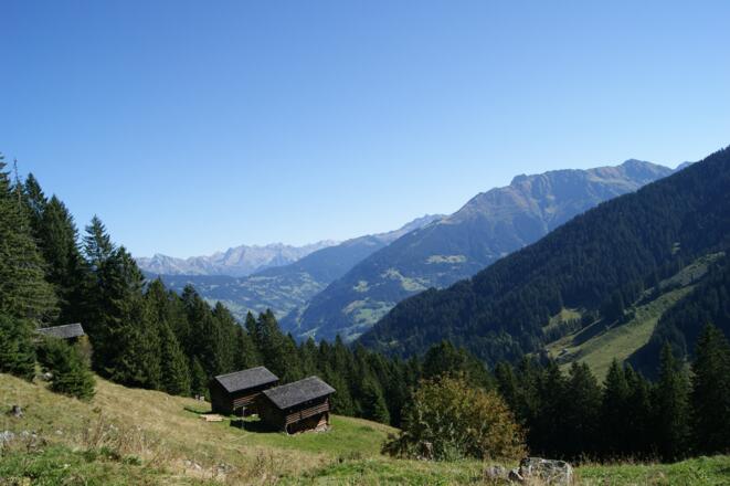 Maisäße auf Plazadels