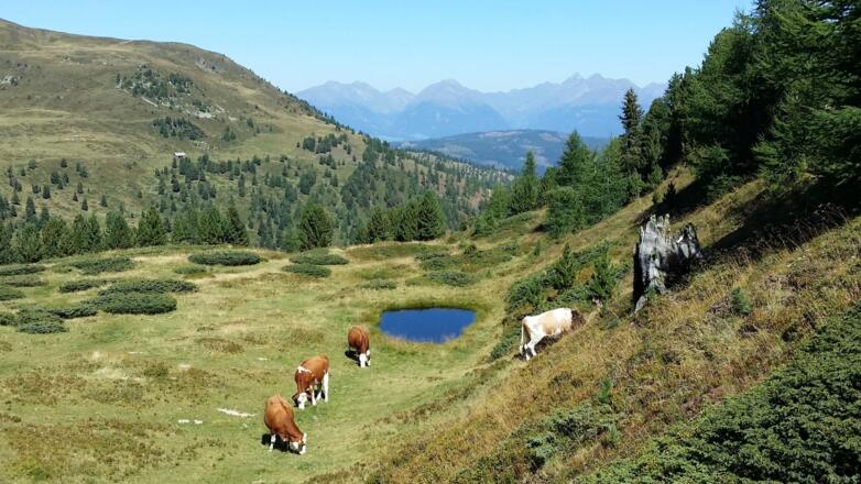 Traumhafter Ausblick Richtung Preber