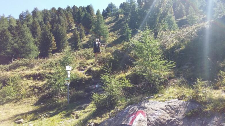 Der Steig beginnt Richtung Kleiner Königsstuhl