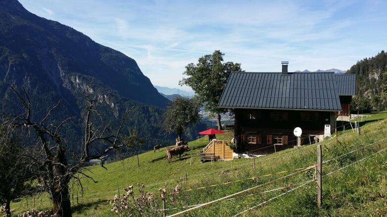 Parzelle Marentes mit Blick Richtung Bludenz