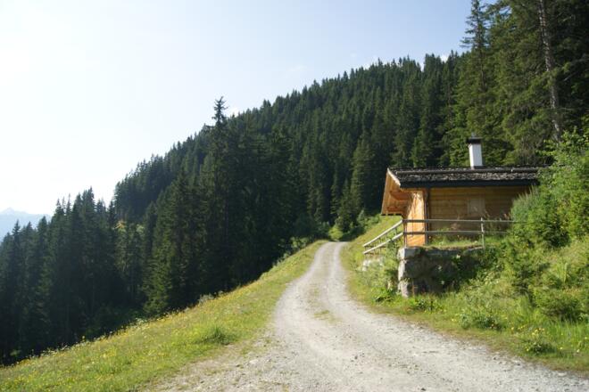 Weg in Richtung Schwizerhüsli