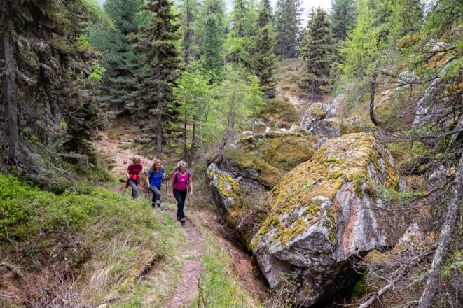 Im oberen Teil des Georg-Herholz- Weg