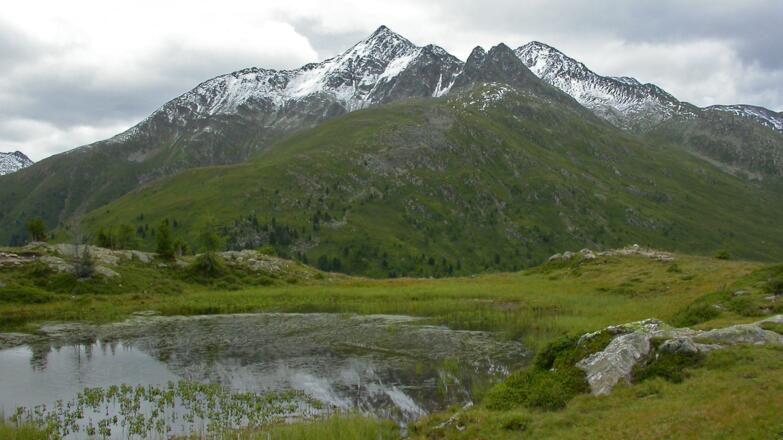 Am Hirschbichl, in Bildmitte das Kahorn