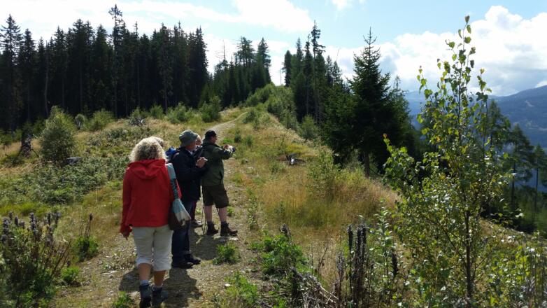 Wanderung am breiten Kamm