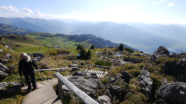 Liebevoll angelegter Alpenblumengarten am Kitzbüheler Horn