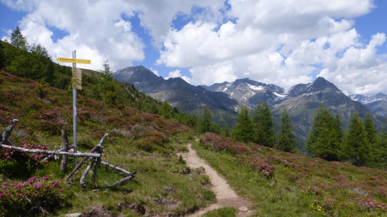 Blick zurück in die Rieserferner