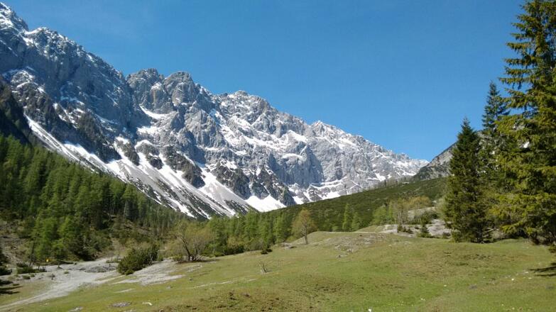 Blick von der Stallenalm Richtung Lamsenjoch