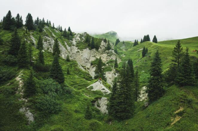 Gipslöcher (c) Thomas Stanglechner