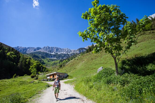 Sonniger Abstieg an der Unteren Wegscheidalm