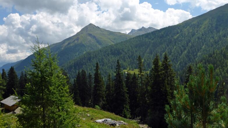 Bei der Lappachalm, links der Bildmitte die Langschneid