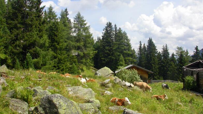 Lappachalm