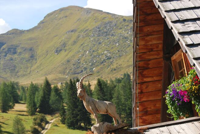 Pritzhütte Blick aufs Kareck